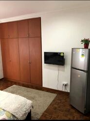 Orchard Tower Rear Block Apartment (D9), Apartment #449766051